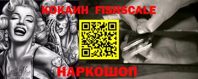 индика Партизанск