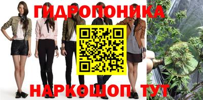 индика Партизанск