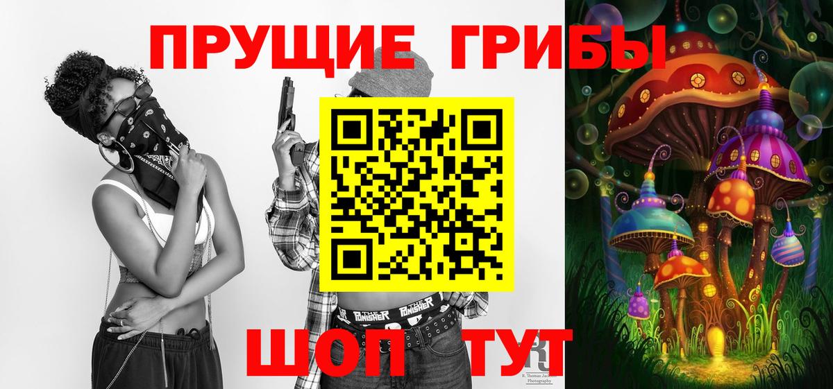 Псилоцибиновые грибы Psilocybe Сергиев Посад